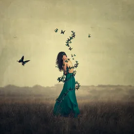 Circle Of Wings by Michelle Mackie
