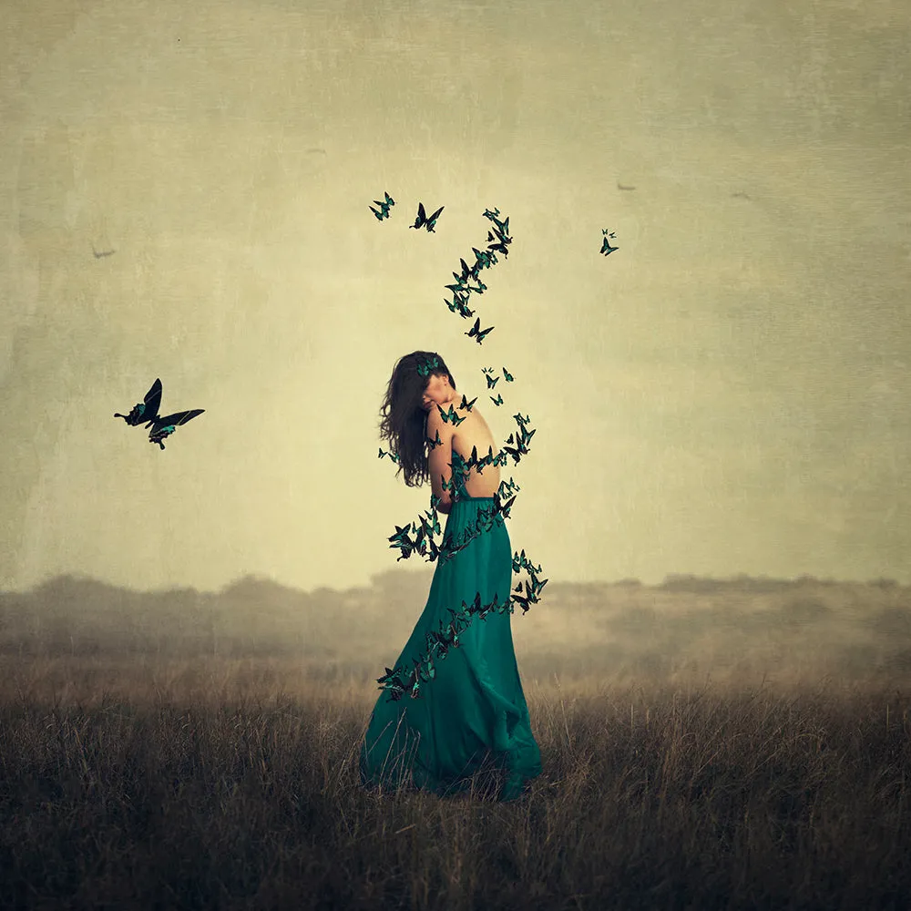 Circle Of Wings by Michelle Mackie