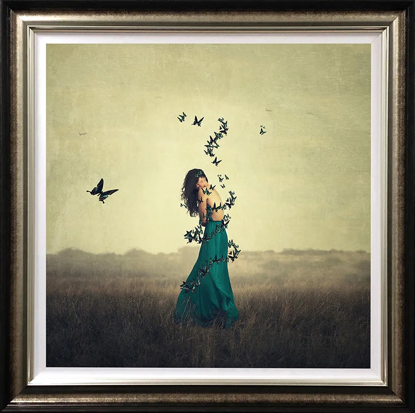Circle Of Wings by Michelle Mackie