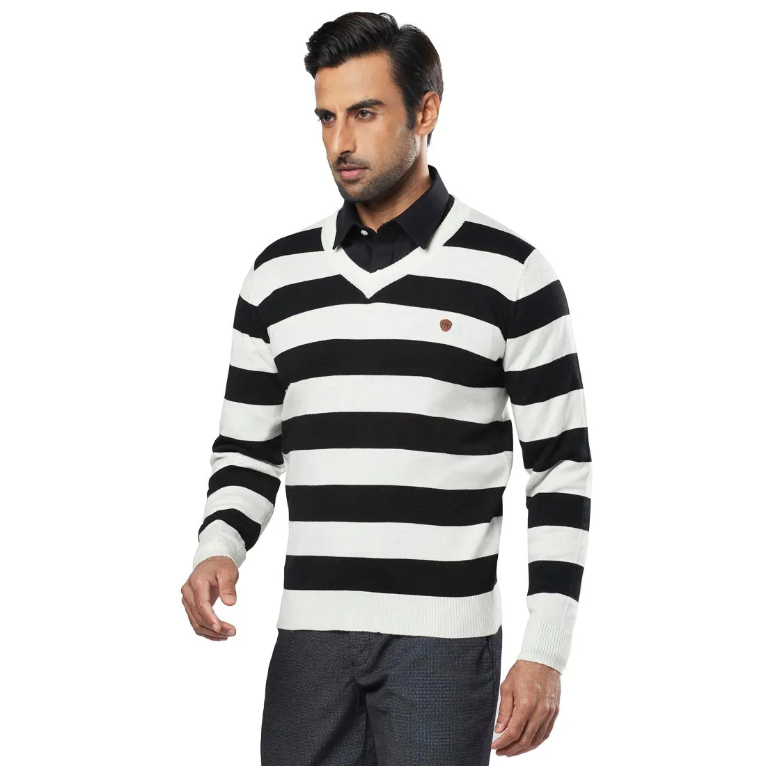 Men Black Acrylic Wool Blend Full Sleeve V Neck Collar Sweaters