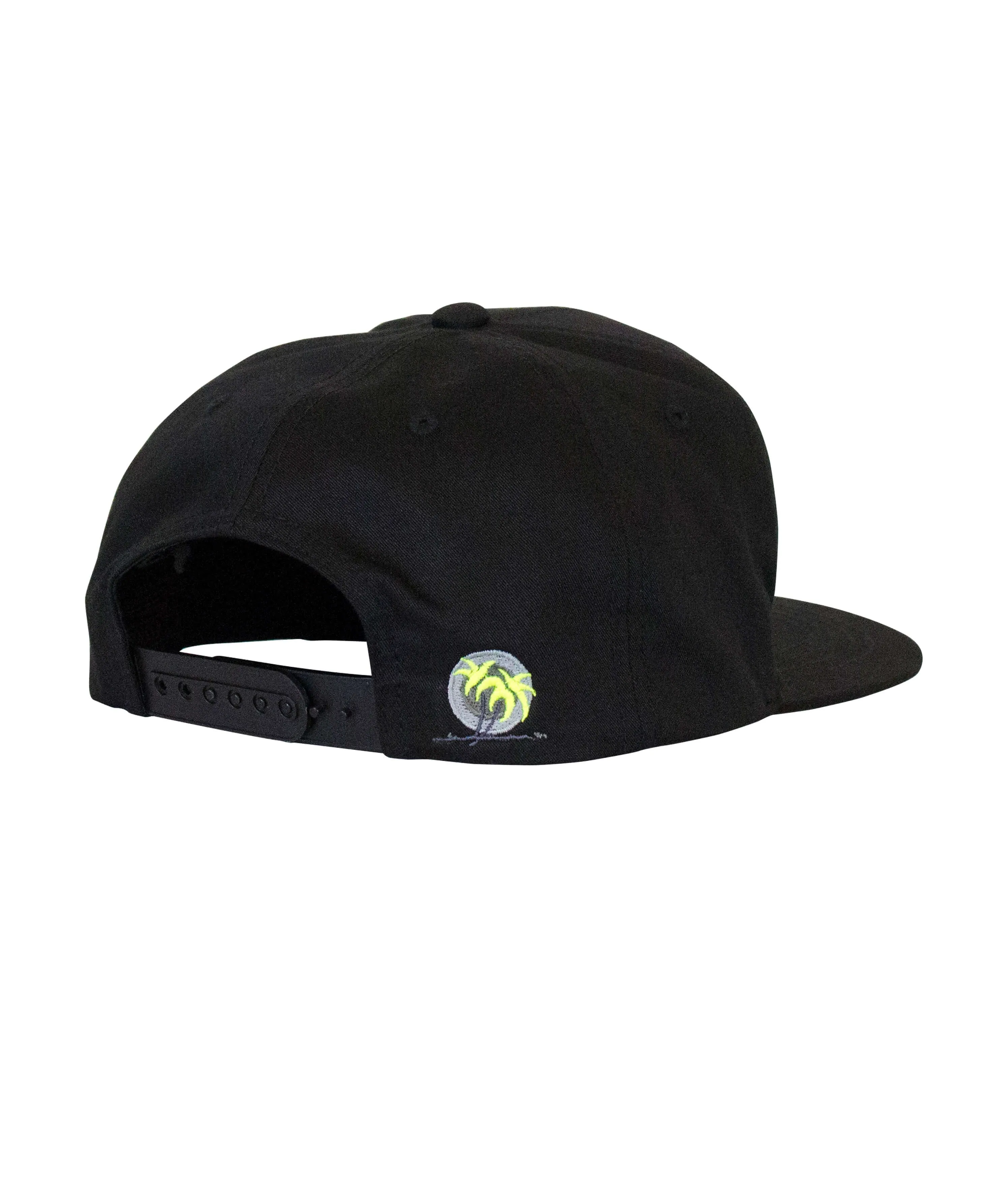 "Hang 20" Youth Snapback Hat