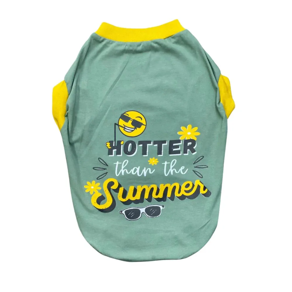 Super Saver Pack of 3 T-shirts Smart